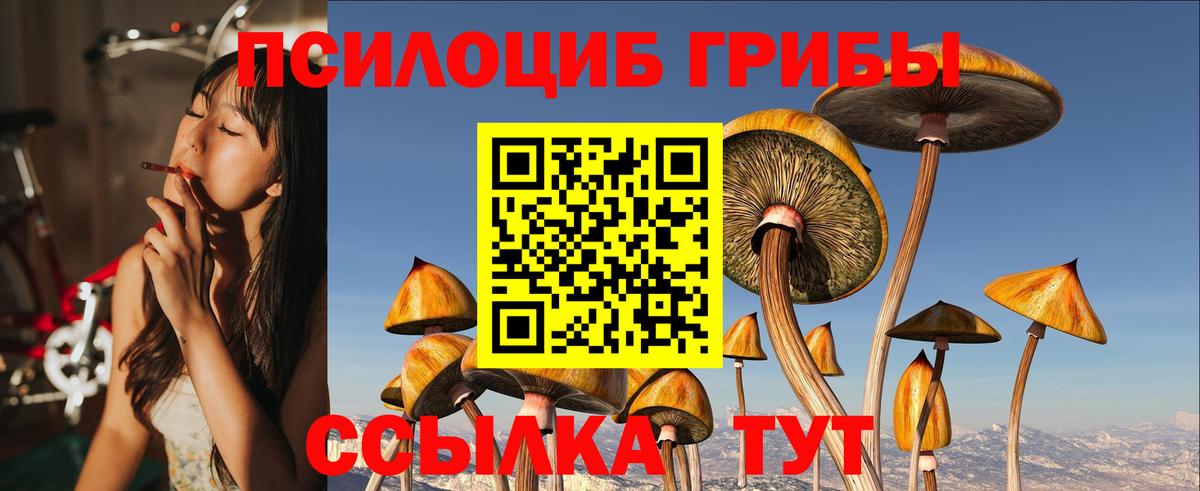 Заречный  Галлюциногенные грибы MAGIC MUSHROOMS  Вход с VPN 