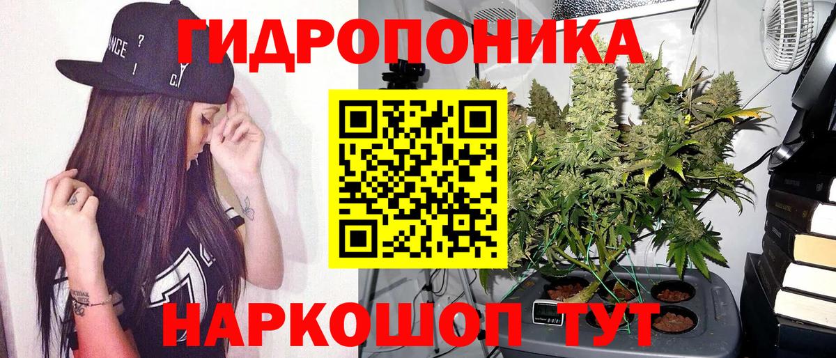 Бошки Шишки White Widow Заречный